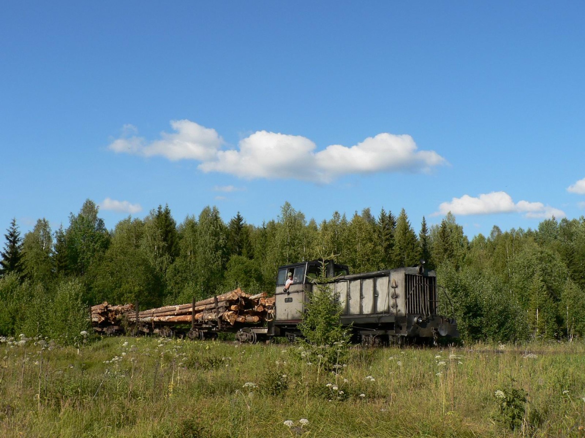 Тепловоз ТУ7-2039 с грузовым поездом
